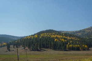 20201020FallColors2020082.jpg